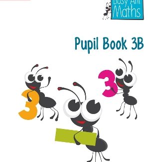 PUPIL BOOK 3B