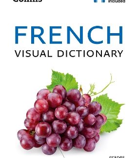 COLLINS FRENCH VISUAL DICTIONARY