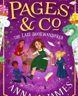 PAGES & CO.: THE LAST BOOKWANDERER : BOOK 6 PB