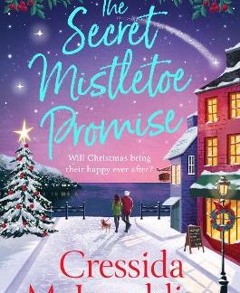 THE SECRET MISTLETOE PROMISE : BOOK 2 PB