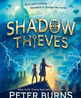 SHADOW THIEVES : BOOK 1 PB