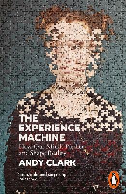 PENGUIN ORANGE SPINES : THE EXPERIENCE MACHINE PB