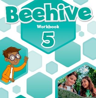 BEEHIVE 5 WB