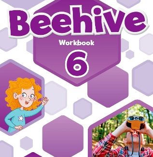 BEEHIVE 6 WB