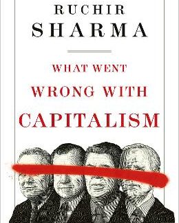 WHAT WENT WRONG WITH CAPITALISM HC