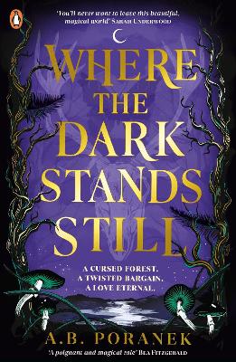 WHERE THE DARK STANDS STILL PB