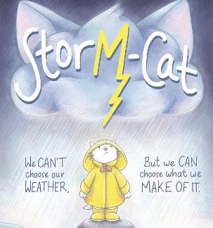 STORM-CAT : A FIRST-TIME FEELINGS PICTURE BOOK PB