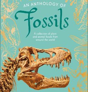AN ANTHOLOGY OF FOSSILS : A COLLECTION OF PLANT AND ANIMAL FOSSILS FROM AROUND THE WORLD