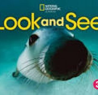 LOOK AND SEE LEVEL 3 AME TEACHER'S BOOK WITH STUDENT'S BOOK AUDIO CD AND DVD