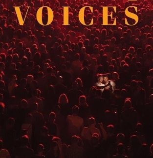 VOICES ADVANCED SB ( + SPARK)