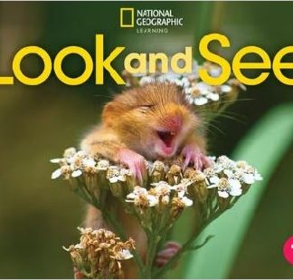 LOOK AND SEE 1 SB ( + SPARK) AMER. ED