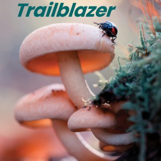 TRAILBLAZER STARTER SB ( + SPARK)