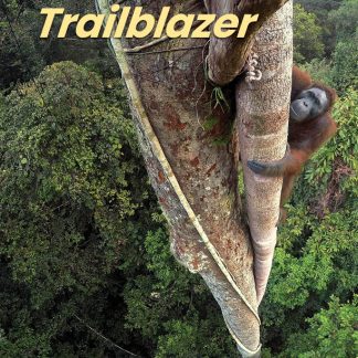 TRAILBLAZER 1 ( + SPARK) COMBO SPLIT A