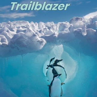 TRAILBLAZER 2 SB ( + SPARK)