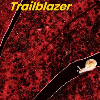 TRAILBLAZER 3 SB ( + SPARK)
