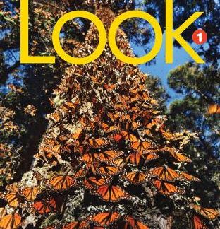 LOOK 1 SB ( + SPARK) AMER. ED