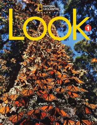 LOOK 1 SB ( + SPARK) AMER. ED