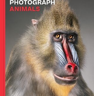 WHY WE PHOTOGRAPH ANIMALS HC