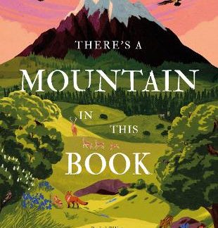 THERE'S A MOUNTAIN IN THIS BOOK HC
