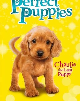 PERFECT PUPPIES 3 PB