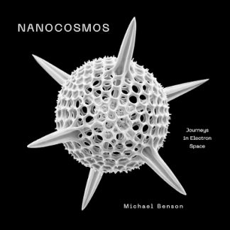 NANOCOSMOS : JOURNEYS IN ELECTRON SPACE