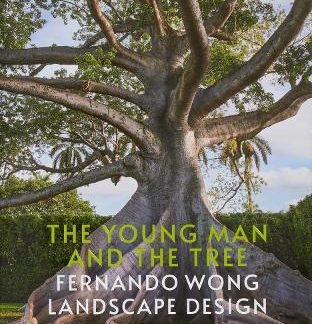 THE YOUNG MAN AND THE TREE : FERNANDO WONG LANDSCAPE DESIGN