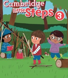 CAMBRIDGE LITTLE STEPS 3 BIG STORY BOOK 2ND ED