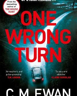 ONE WRONG TURN