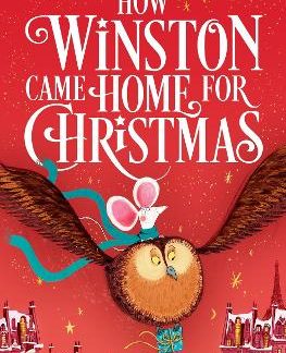 HOW WINSTON CAME HOME FOR CHRISTMAS : A FESTIVE ILLUSTRATED CHAPTER BOOK! PB