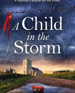 A CHILD IN THE STORM : A MOTHER LOCKED AWAY, A DAUGHTER TAKEN. PB