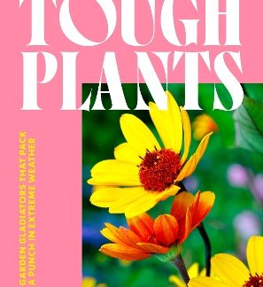 TOUGH PLANTS HC
