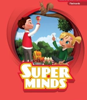 SUPER MINDS STARTER FLASHCARDS 2ND ED