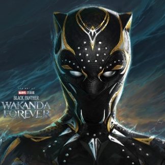 MARVEL STUDIOS' BLACK PANTHER: WAKANDA FOREVER - THE ART OF THE MOVIE  HC
