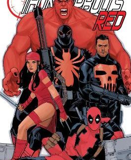 THUNDERBOLTS RED OMNIBUS    HC