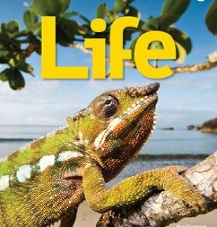LIFE 5 SB - AMER. ED