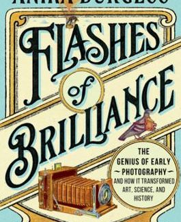 FLASHES OF BRILLIANCE HC