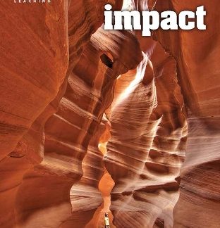 IMPACT FOUNDATION WB AMER. ED
