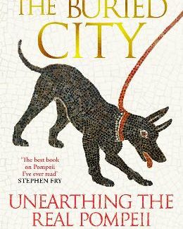 THE BURIED CITY HC
