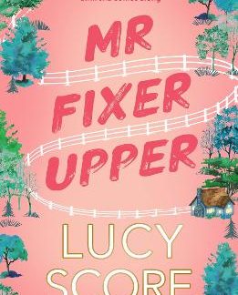 MR. FIXER UPPER