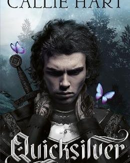 QUICKSILVER : THE UTTERLY ADDICTIVE ENEMIES-TO-LOVERS ROMANTASY SENSATION
