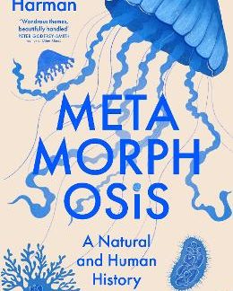 METAMORPHOSIS: A NATURAL AND HUMAN HISTORY HC