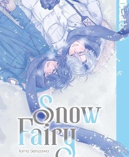 SNOW FAIRY