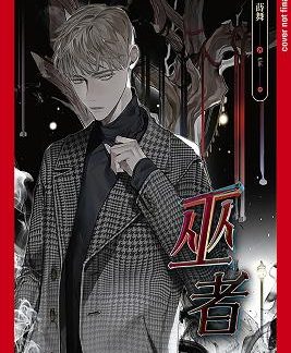 WIZARD (NOVEL)