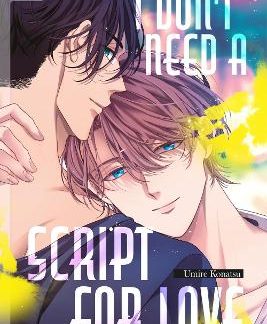 I DON'T NEED A SCRIPT FOR LOVE
