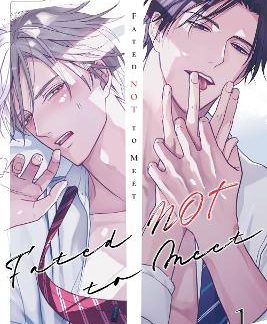 FATED NOT TO MEET