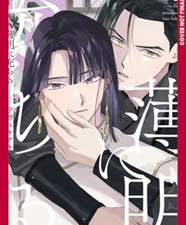 TOUCHED BY TWILIGHT, VOLUME 2