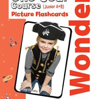 IWONDER JUNIOR A+B (ONE YEAR COURSE) FLASHCARDS