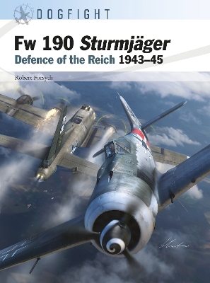FW 190 STURMJAGER : DEFENCE OF THE REICH 1943-45 PB