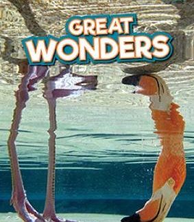 GREAT WONDERS 1 SB