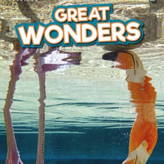 GREAT WONDERS 1 GRAMMAR